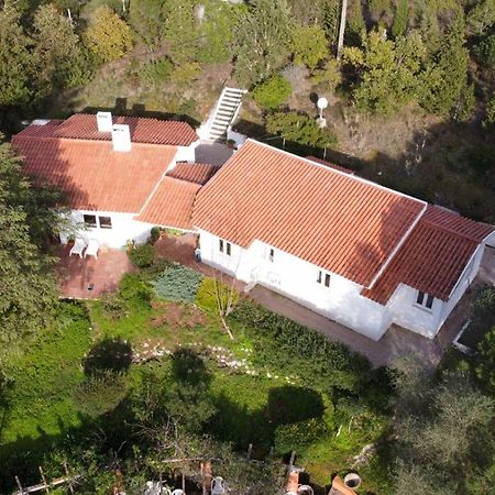 Perfect For Quiet Vacation With Family And Friends Villa Setubal Exterior photo